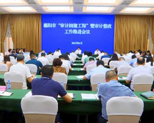 全市“审计细胞工程”暨审计整改工作推进会议召开