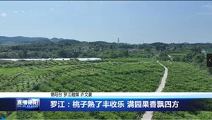 罗江：桃子熟了丰收乐 满园果香飘四方