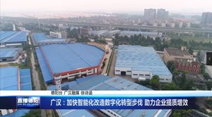 广汉：加快智能化改造数字化转型步伐 助力企业提质增效