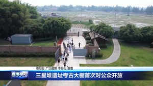 三星堆遗址考古大棚首次对公众开放