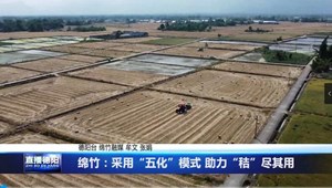绵竹：采用“五化”模式 助力“秸”尽其用