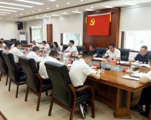 罗智波到中江督导调研重点项目建设、防汛减灾、地灾防治等工作