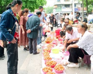 绵竹：暖心举措为流动摊贩“筑巢安家” 让烟火气更浓