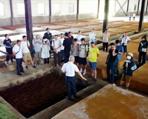 主流媒体走进绵竹酒企 探寻发展“密码”