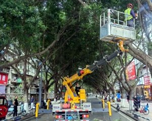 暑气退退退！德阳这条路，超凉爽→