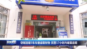 窃贼连破3车车窗盗取财物 民警17小时内破案追赃