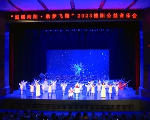 德阳：“温暖向阳 助梦飞翔”公益音乐会举行