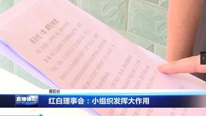 红白理事会：小组织发挥大作用