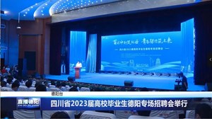 四川省2023届高校毕业生德阳专场招聘会举行