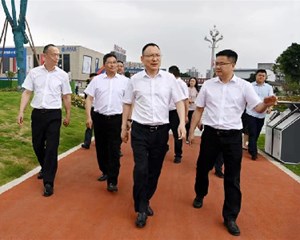 以更高标准更高水平推进城市绿化美化 为建设美丽宜居德阳提供强力支撑