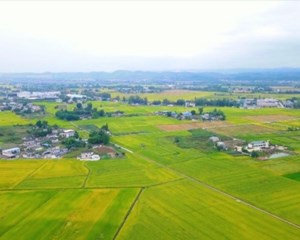 广汉：建成高标准农田38万余亩