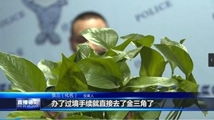 国外的钱好挣吗？