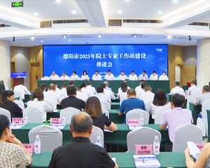 德阳市2023年院士专家工作站建设推进会召开