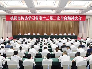把思想和行动统一到省委全会精神上来 推动全会精神在德阳不折不扣落地见效