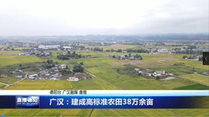 广汉：建成高标准农田38万余亩