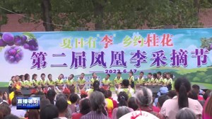 中江继光：李子采摘好“丰”景 助农增收向“钱”进