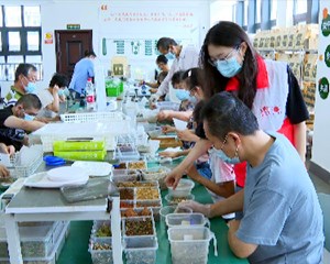 旌阳：“庇护工场”助力残疾人就业增收