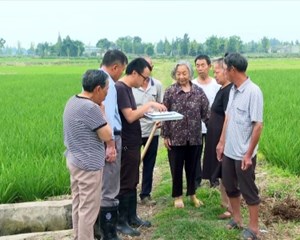 多措并举防灾害 打好保粮“主动仗”