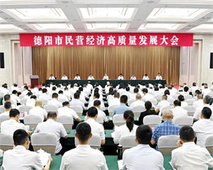 德阳市民营经济高质量发展大会召开