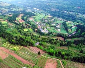 特色产业喜丰收 拓宽乡村“致富路”