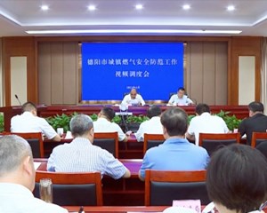 德阳市城镇燃气安全防范工作视频调度会议召开