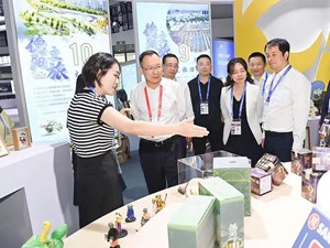 借助展会平台 用好展会优势 展示德阳形象 以更高水平开放推动德阳高质量发展