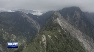 绵竹：野生大熊猫镜头前“卖萌”