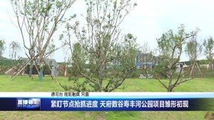 紧盯节点抢抓进度 天府数谷寿丰河公园项目雏形初现