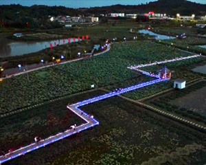 中江：花开盛夏 催生“夜经济”活力焕发