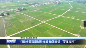 打造全国双季制种样板 做强育优“罗江良种” 