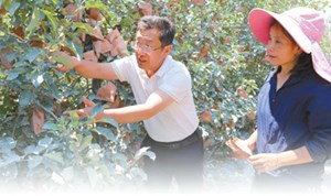 央媒看四川丨走进四川越西县 倾听科技特派员助农富农的故事