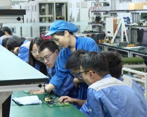 德阳：就业基地+人才夜市 多举措促进高质量充分就业
