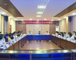 四川省高新区协会理事会在中江举行