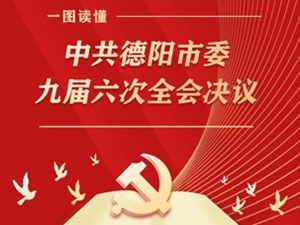 一图读懂｜中共德阳市委九届六次全会决议