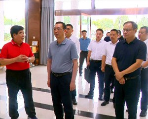 持续壮大民营经济 为全市高质量发展注入强劲动力
