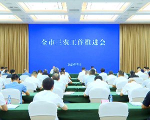 全市“三农”工作推进会召开