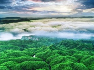 直奔20℃！四川这些清凉地方，最快1小时飙拢！今年避暑就靠它们了……