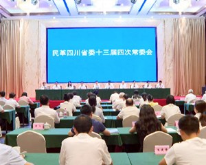 民革四川省委会十三届四次常委会在广汉召开 