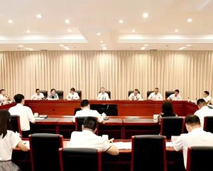 高水平建设三星堆国家文物保护利用示范区 为德阳现代化建设增添新动能