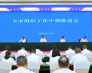 全市组织工作中期推进会召开
