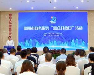 德阳市政务服务“惠企开放日”活动举行