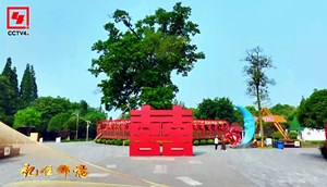 央视看德阳｜什邡红豆村： 一座充满爱与温情的川西山乡