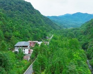 什邡：打造“庭院经济”示范带 引领乡村旅游提质增效