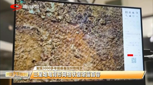 三星堆新闻｜发现3000多年前桑蚕丝织物残余  三星堆龟背形网格状器渐露真容
