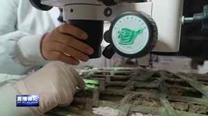 龟背形网格状器渐露真容 玉璧初现