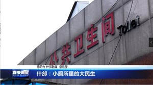 什邡：小厕所里的大民生