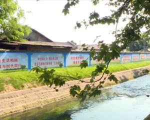 什邡：早防实防细防 筑牢防汛“安全堤”