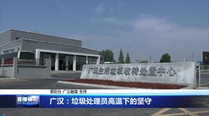 垃圾处理员：高温下的坚守