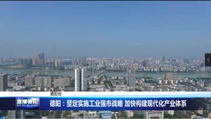 德阳：坚定实施工业强市战略 加快构建现代化产业体系