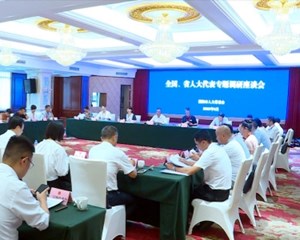 市人大常委会组织部分全国和省人大代表开展专题调研